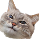 :PepestanCatWoem: Discord Emote