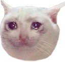 :PepestanCatSoSad: Discord Emote