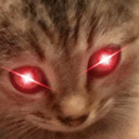:PepestanCatHyperx: Discord Emote