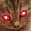 PepestanCatHyperx Discord Emoji