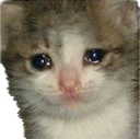 :PepestanCatSad: Discord Emote