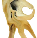 dogeOkHand dogeOkHand