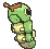caterpie