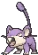 rattata