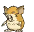 raticate