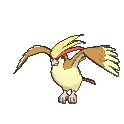 pidgeot