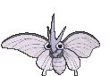 venomoth