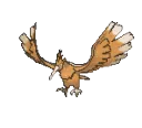 fearow