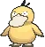 psyduck