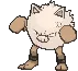 primeape