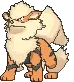 arcanine