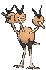 dodrio