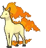 rapidash