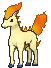 ponyta