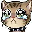 CatCry