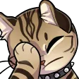 CatFacepalm