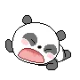 pandawhine