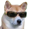 boi