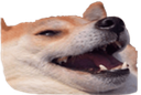 yoggo Discord emoji