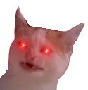 hypertrashcat hypertrashcat