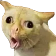 112zkemote