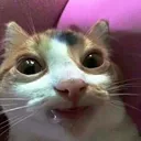 hehehe