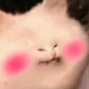 echblush echblush