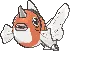 seaking