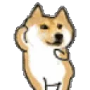 hypeshiba
