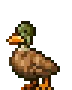 duckdance