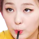 seulgisip