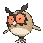 hoothoot