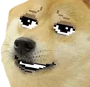 dogeLancer Discord Emoji