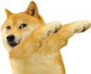 dogeDab