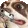 doggoshoot