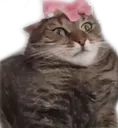 1532_flower_cat 1532_flower_cat