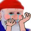 GnomePepeHands Discord Emoji