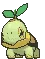 turtwig