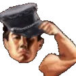 vanTIP vanTIP