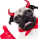 evilCarti evilCarti