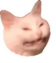 annoyyo