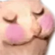 zubatUWU