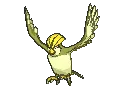 pidgeottoshiny