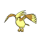 pidgeotshiny pidgeotshiny