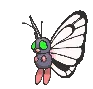 butterfreeshiny butterfreeshiny