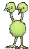 doduoshiny