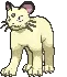 persianshiny