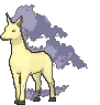 rapidashshiny