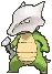 marowakshiny