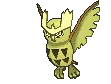 noctowlshiny